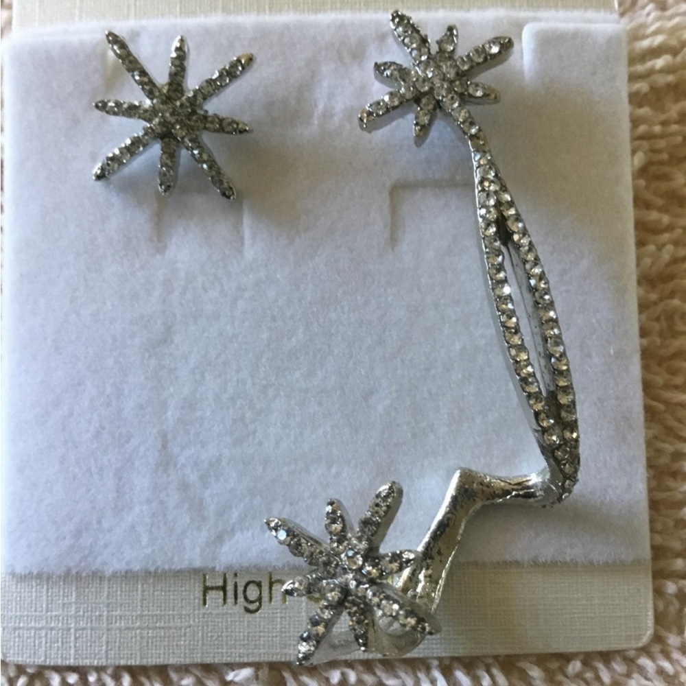 New Earrings